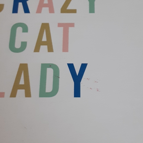 Crazy Cat Lady Trinket Dish - Picture 4 of 5